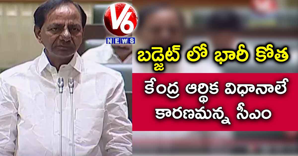 బడ్జెట్ లో భారీ కోత.. కేంద్ర ఆర్థిక విధానాలే కారణమన్న సీఎం
