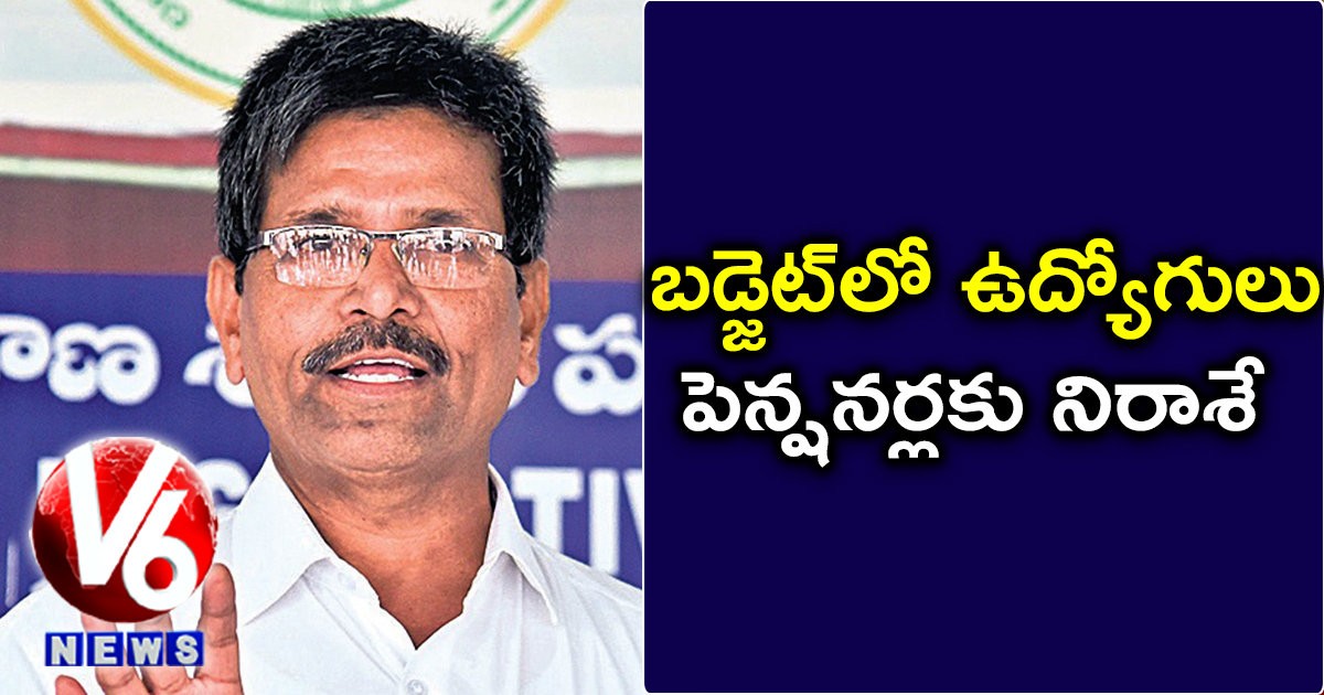 బడ్జెట్లో ఉద్యోగులు, పెన్షనర్లకు నిరాశే