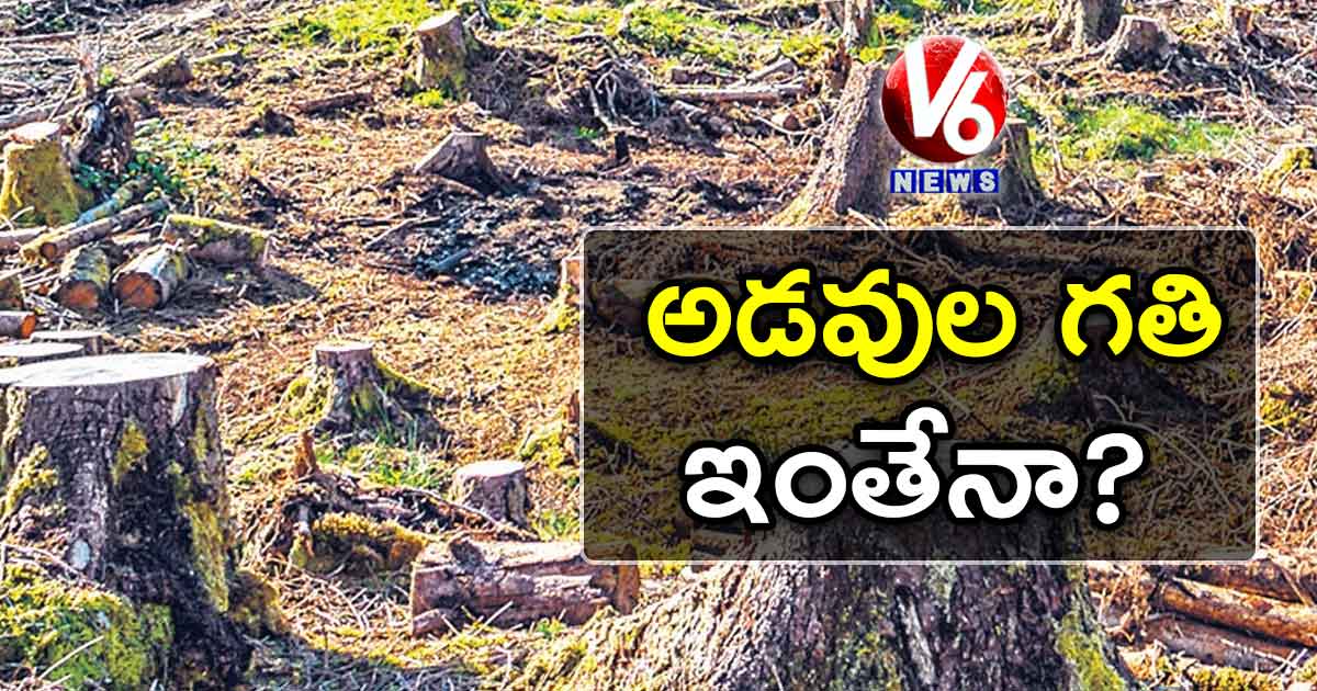 అడవుల గతి ఇంతేనా?