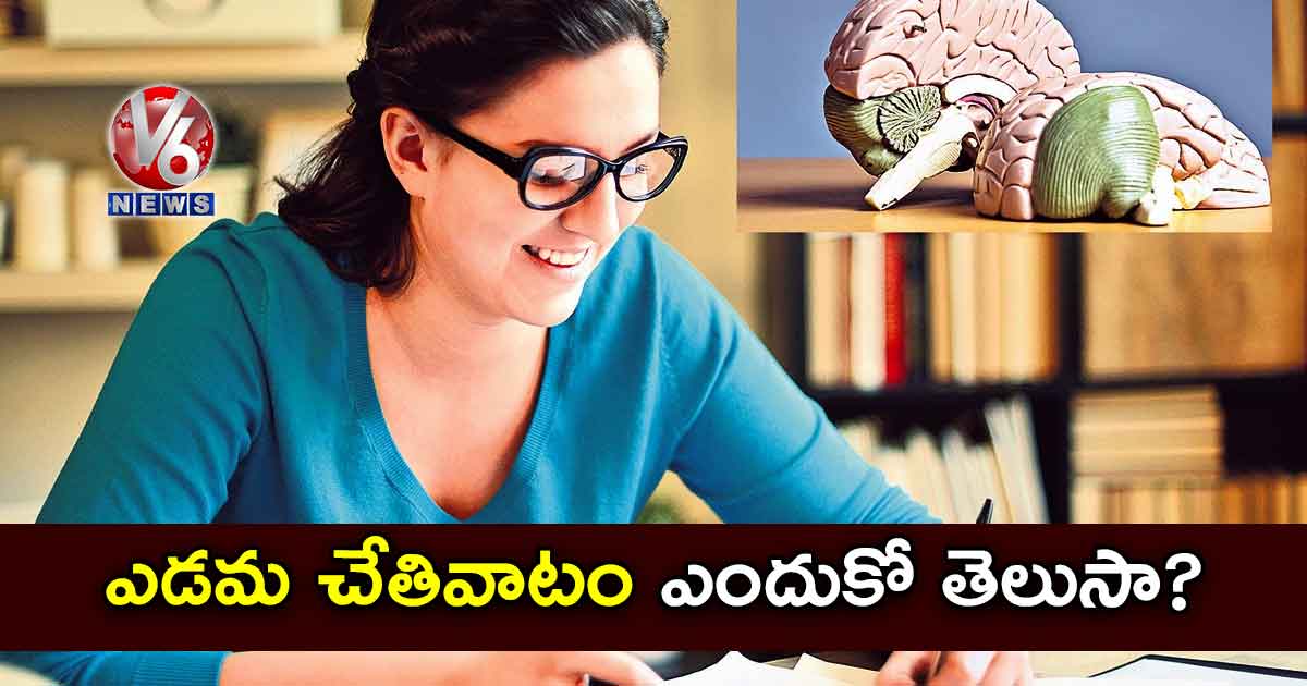 ఎడమ చేతివాటం ఎందుకో తెలుసా!