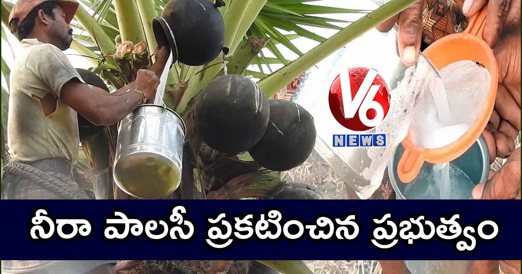 నీరా పాలసీ ప్రకటించిన ప్రభుత్వం