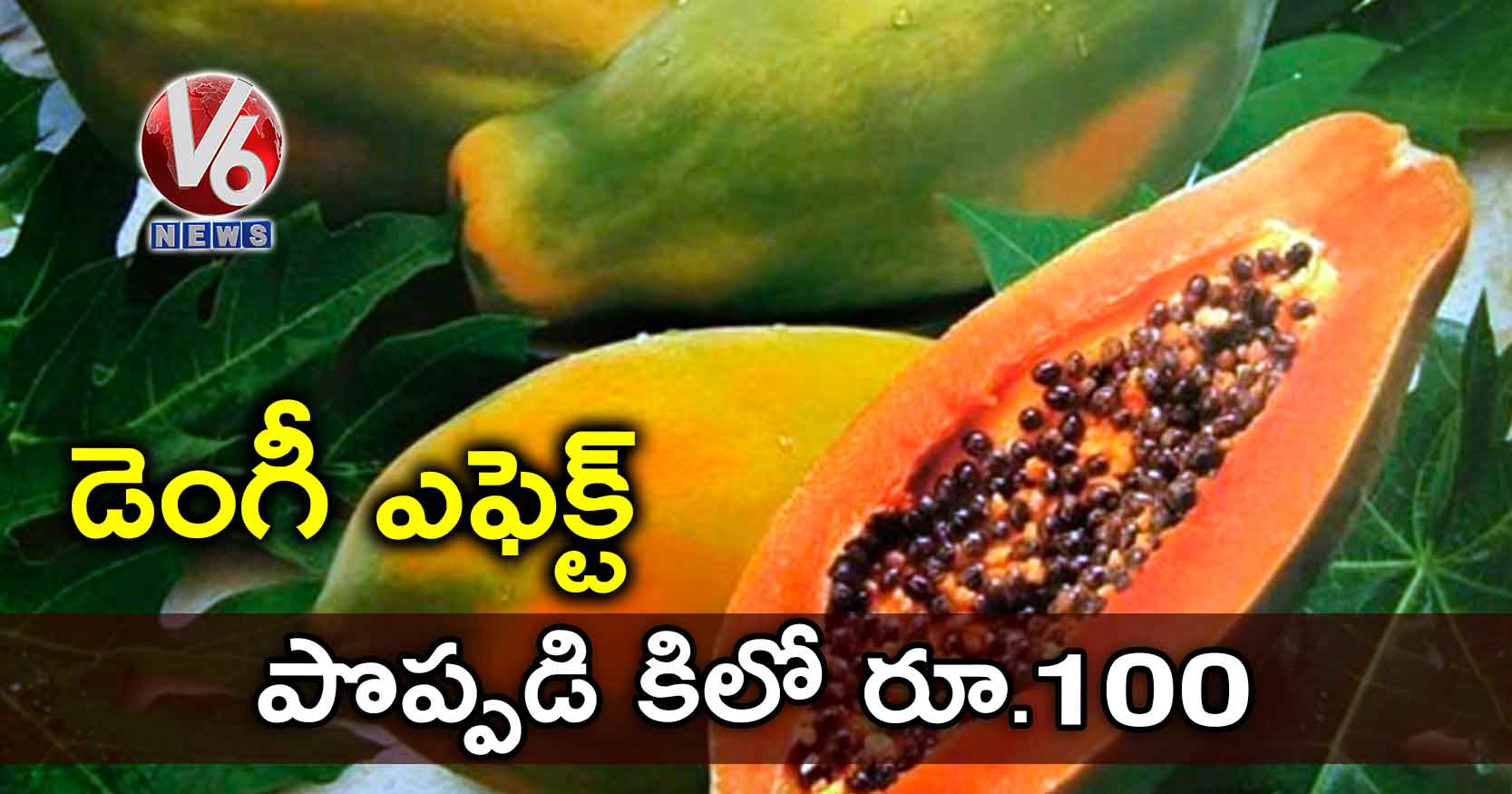 డెంగీ ఎఫెక్ట్… పొప్పడి కిలో రూ.100