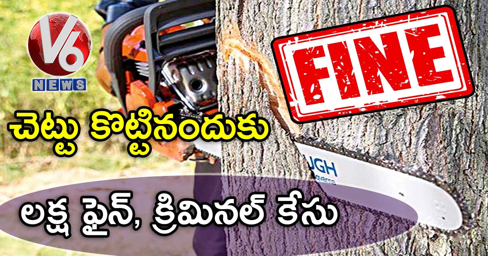 చెట్టు కొట్టినందుకు లక్ష ఫైన్, క్రిమినల్ కేసు