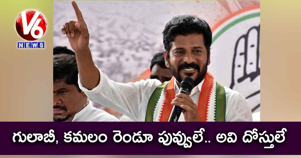 గులాబీ, కమలం రెండూ పువ్వులే.. అవి దోస్తులే : రేవంత్ రెడ్డి