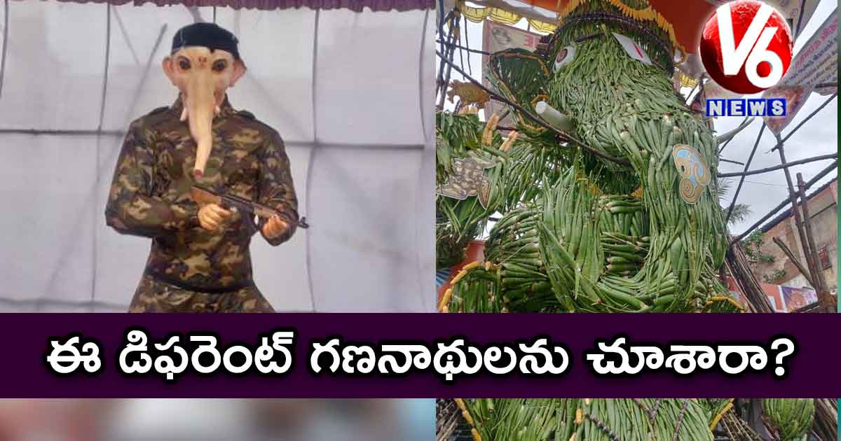 ఈ డిఫరెంట్ గణనాథులను చూశారా?