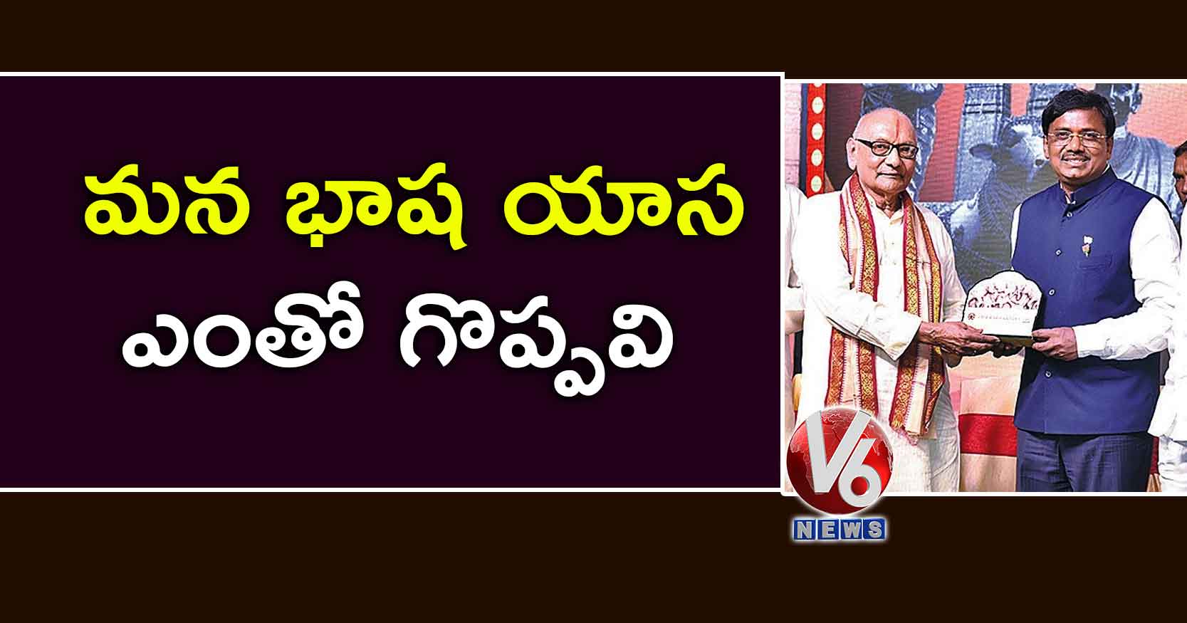 మన భాష, యాస ఎంతో గొప్పవి
