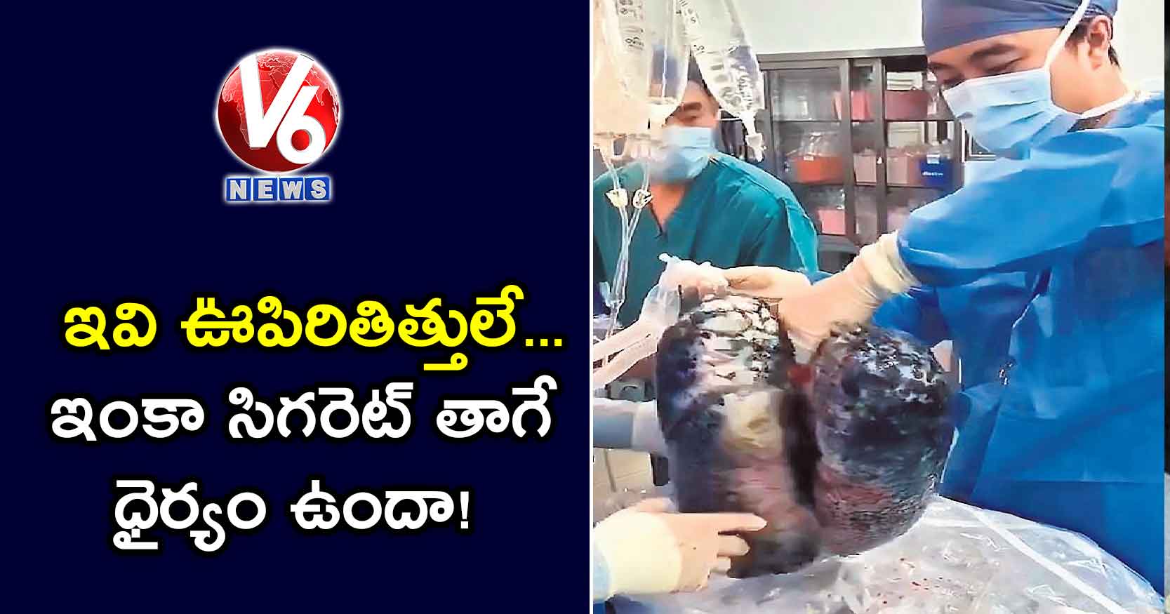 ఇవి ఊపిరితిత్తులే.. ఇంకా సిగరెట్ తాగే ధైర్యం ఉందా!
