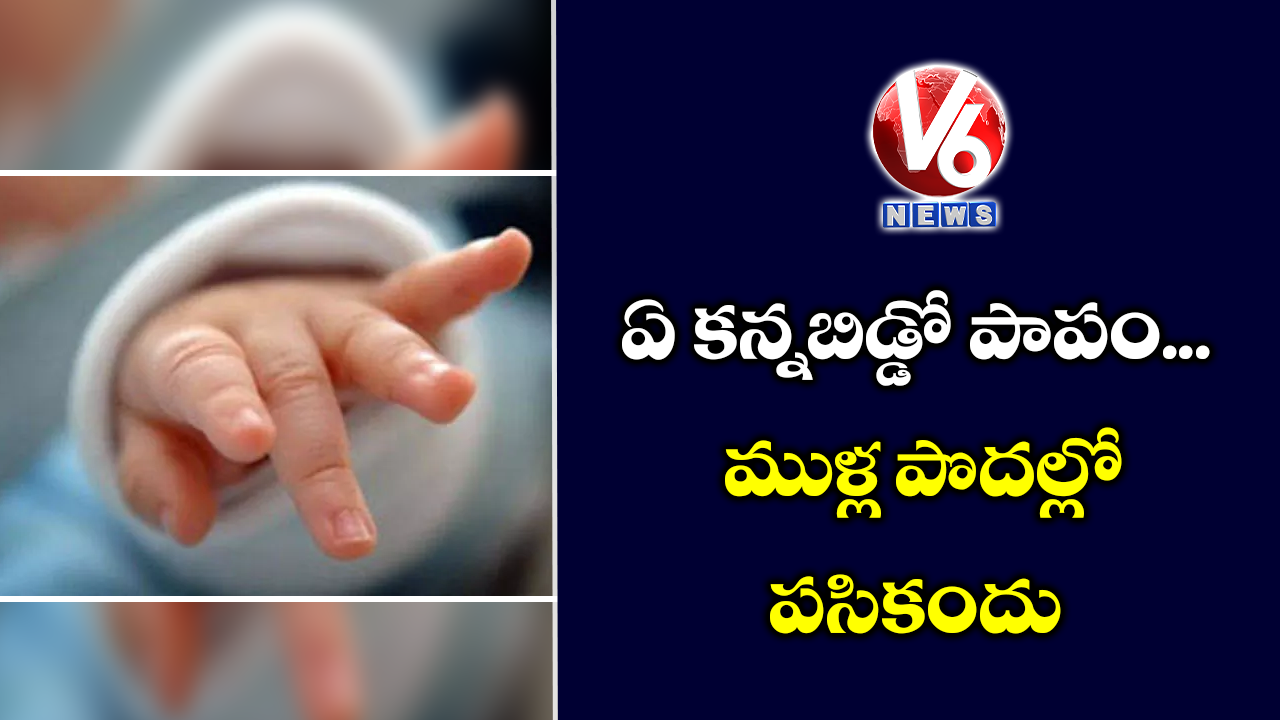 ఏ కన్నబిడ్డో పాపం..ముళ్ల పొదల్లో పసికందు