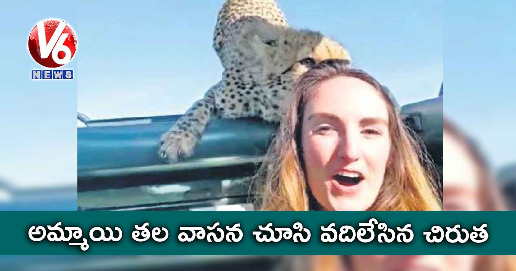 అమ్మాయి తల వాసన చూసి వదిలేసిన చిరుత.. వైరలవుతున్న వీడియో