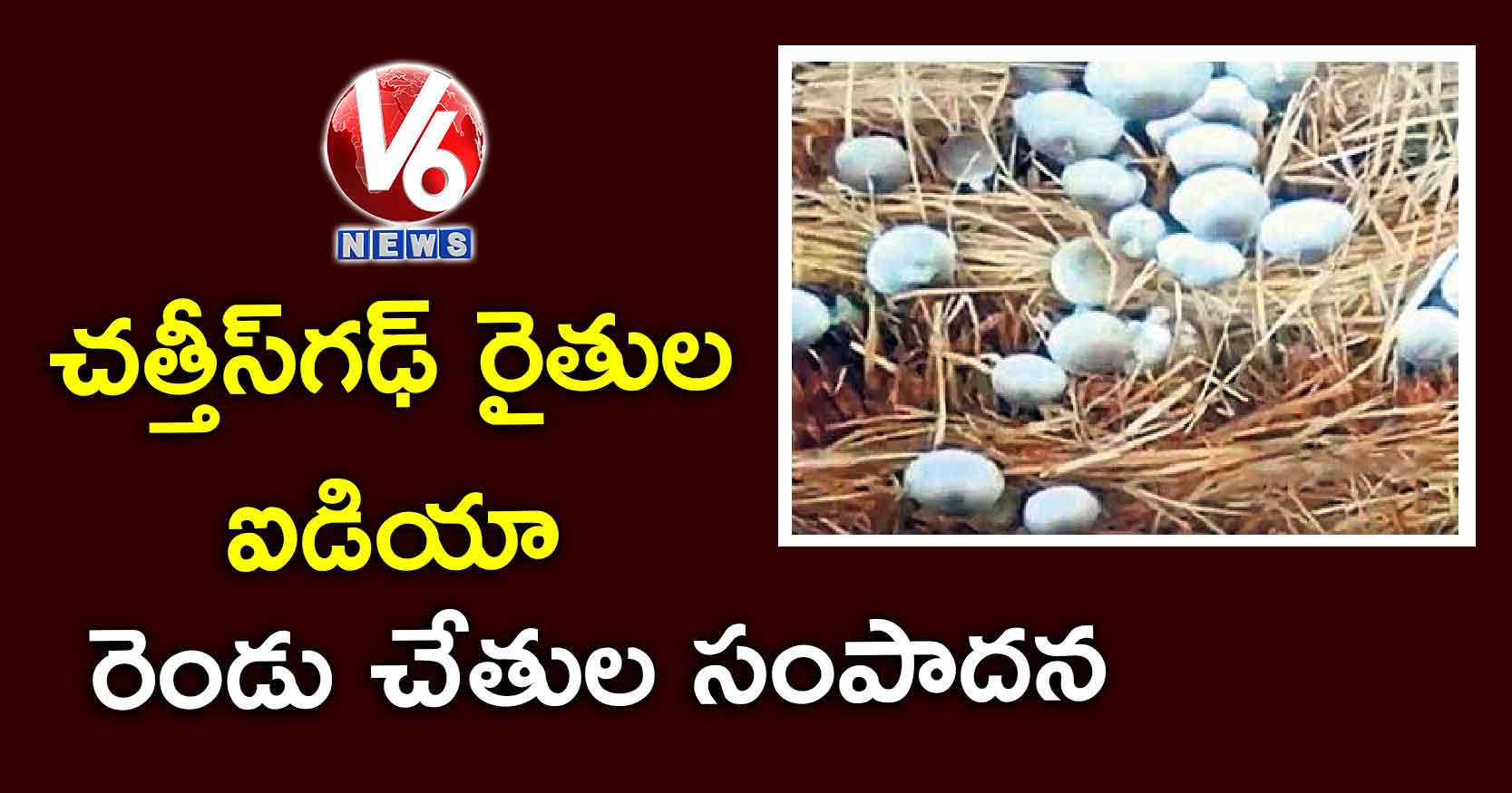 చత్తీస్గఢ్ రైతుల ఐడియా.. రెండు చేతుల సంపాదన