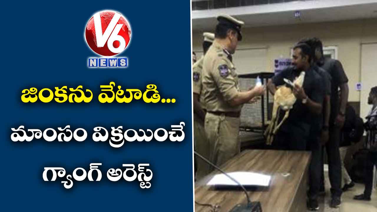 జింకను వేటాడి.. మాంసం విక్రయించే గ్యాంగ్ అరెస్ట్