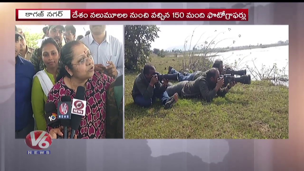 Huge Response For Bird Walk Festival In Asifabad