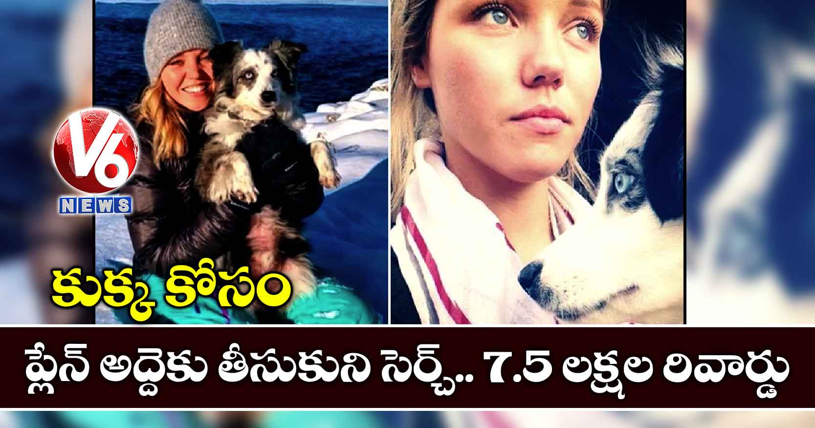 కుక్క కోసం ప్లేన్ అద్దెకు తీసుకుని సెర్చ్.. 7.5 లక్షల రివార్డు