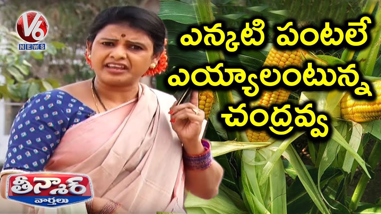 Teenmaar Chandravva Suggest To Cultivate Olden Days Crops