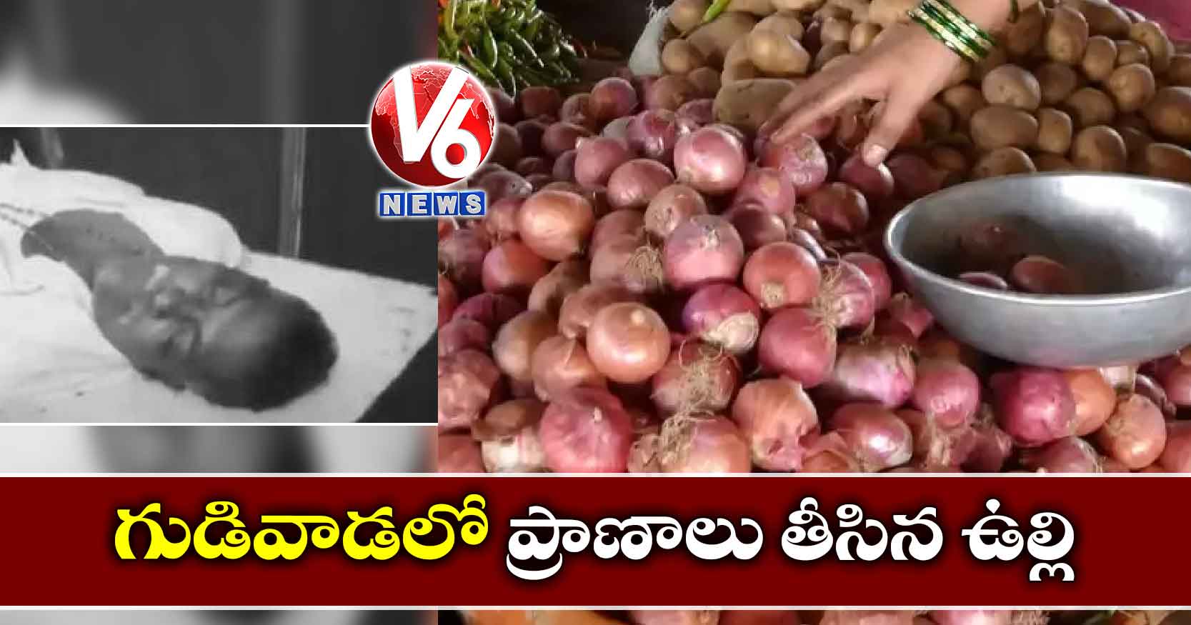 గుడివాడలో ప్రాణాలు తీసిన ఉల్లి
