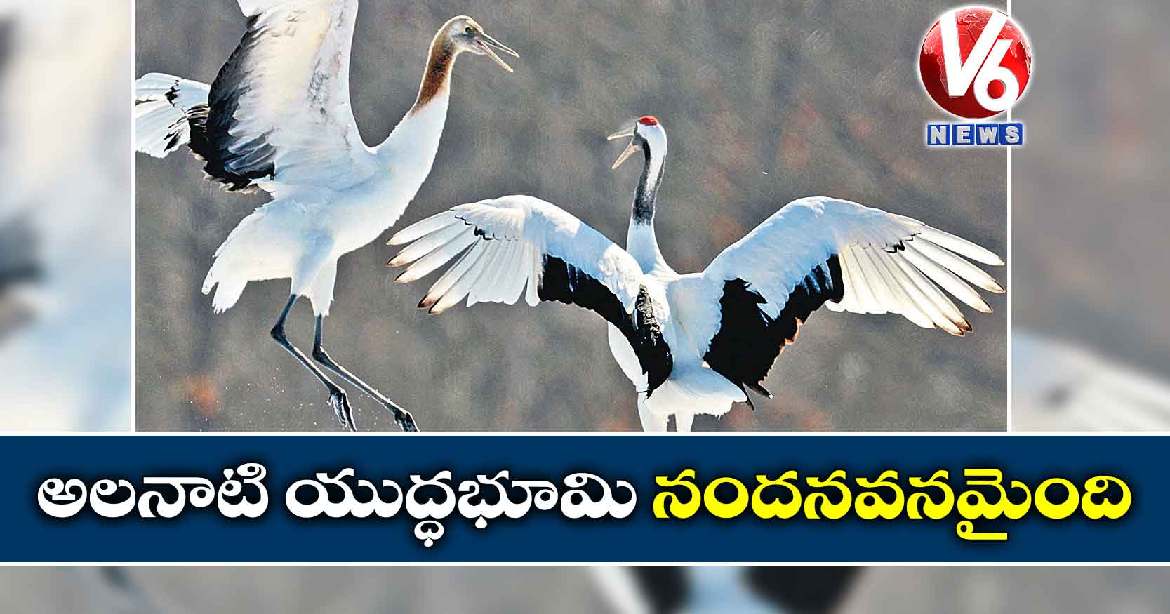 అలనాటి యుద్ధభూమి  నందనవనమైంది