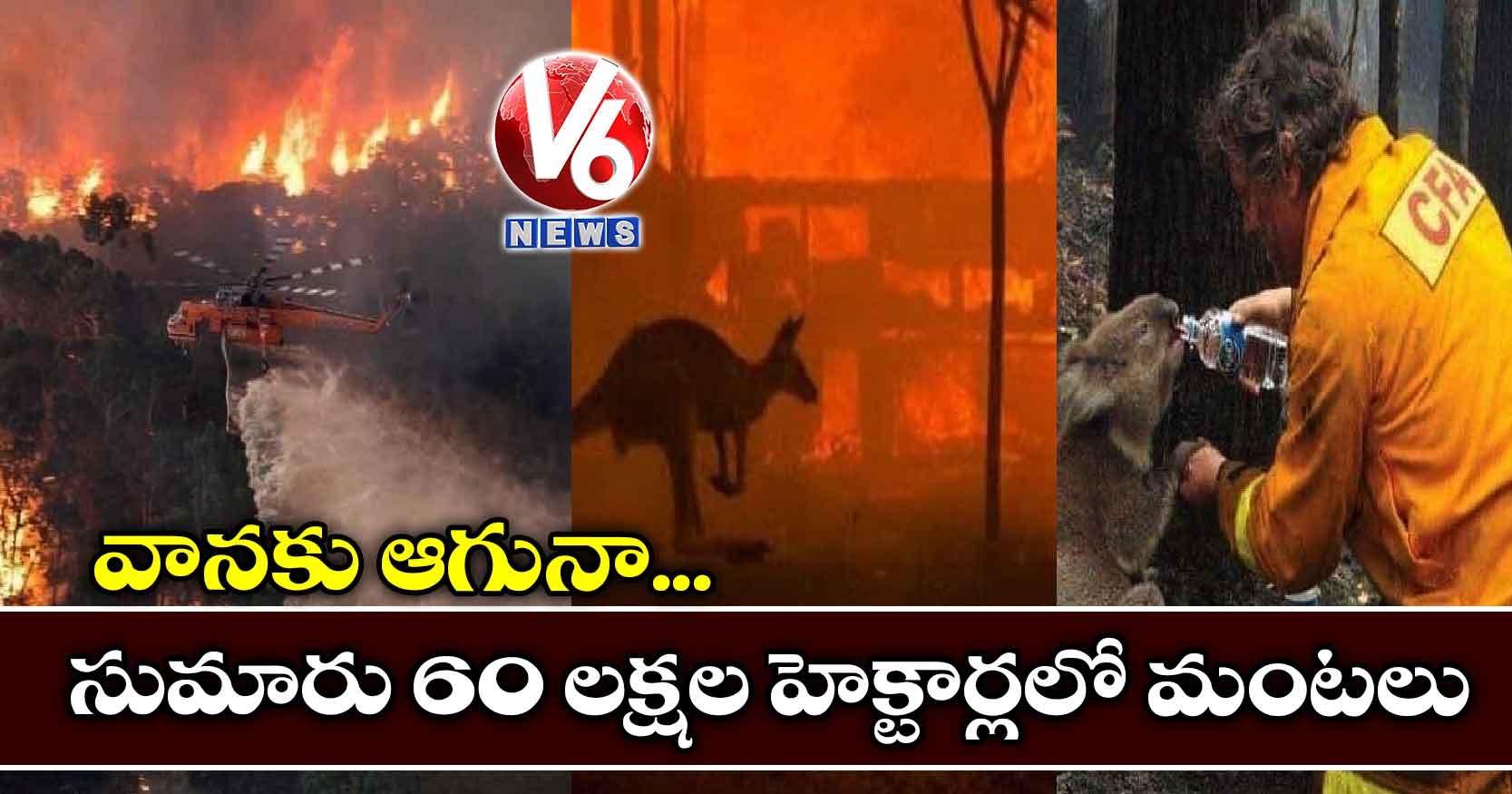 సుమారు 60 లక్షల హెక్టార్లలో మంటలు… వానకు ఆగునా