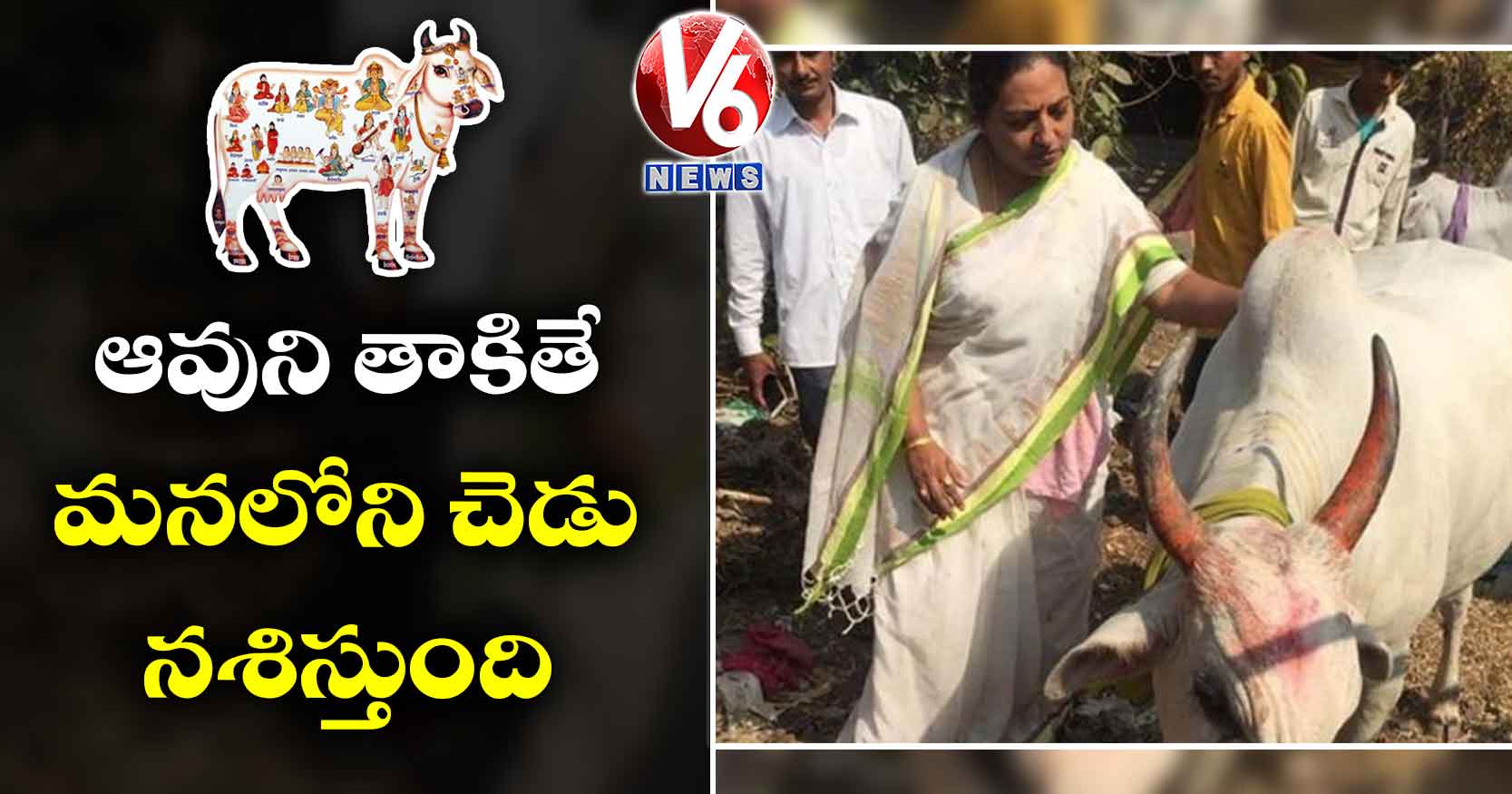 ఆవుని తాకితే మనలోని చెడు నశిస్తుంది