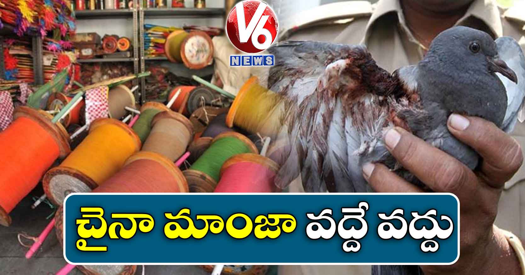 చైనా మాంజా వద్దే వద్దు