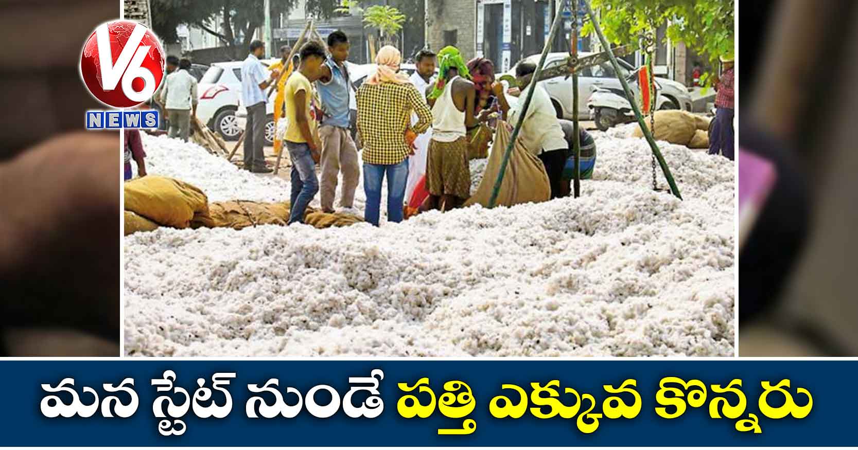 మన స్టేట్ నుండే పత్తి ఎక్కువ కొన్నరు