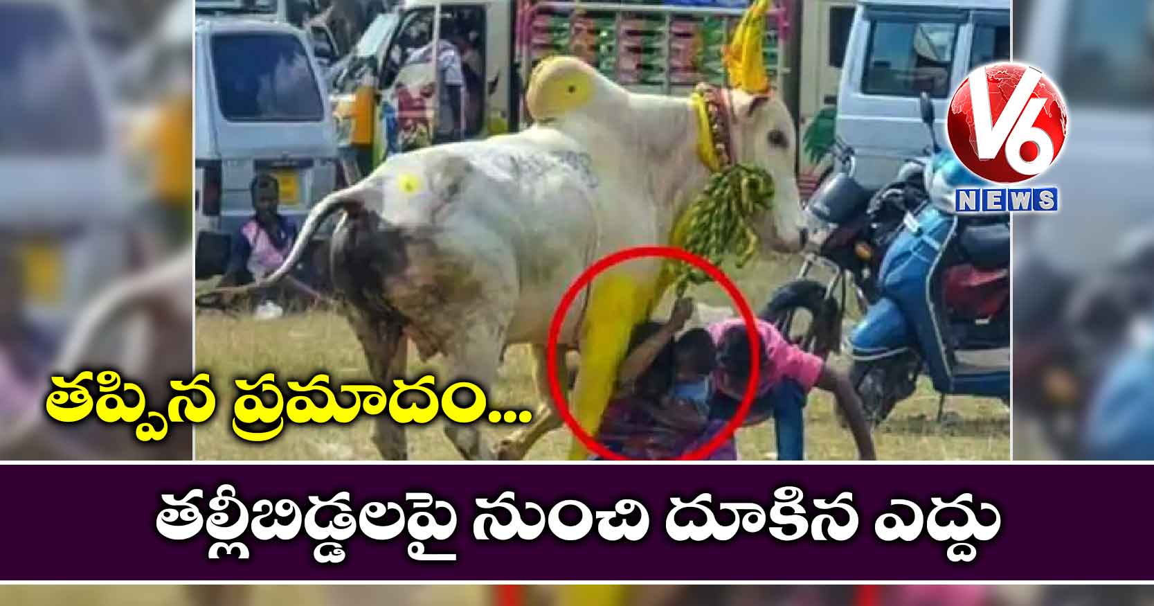 తప్పిన ప్రమాదం..  తల్లీబిడ్డలపై నుంచి దూకిన ఎద్దు – వీడియో