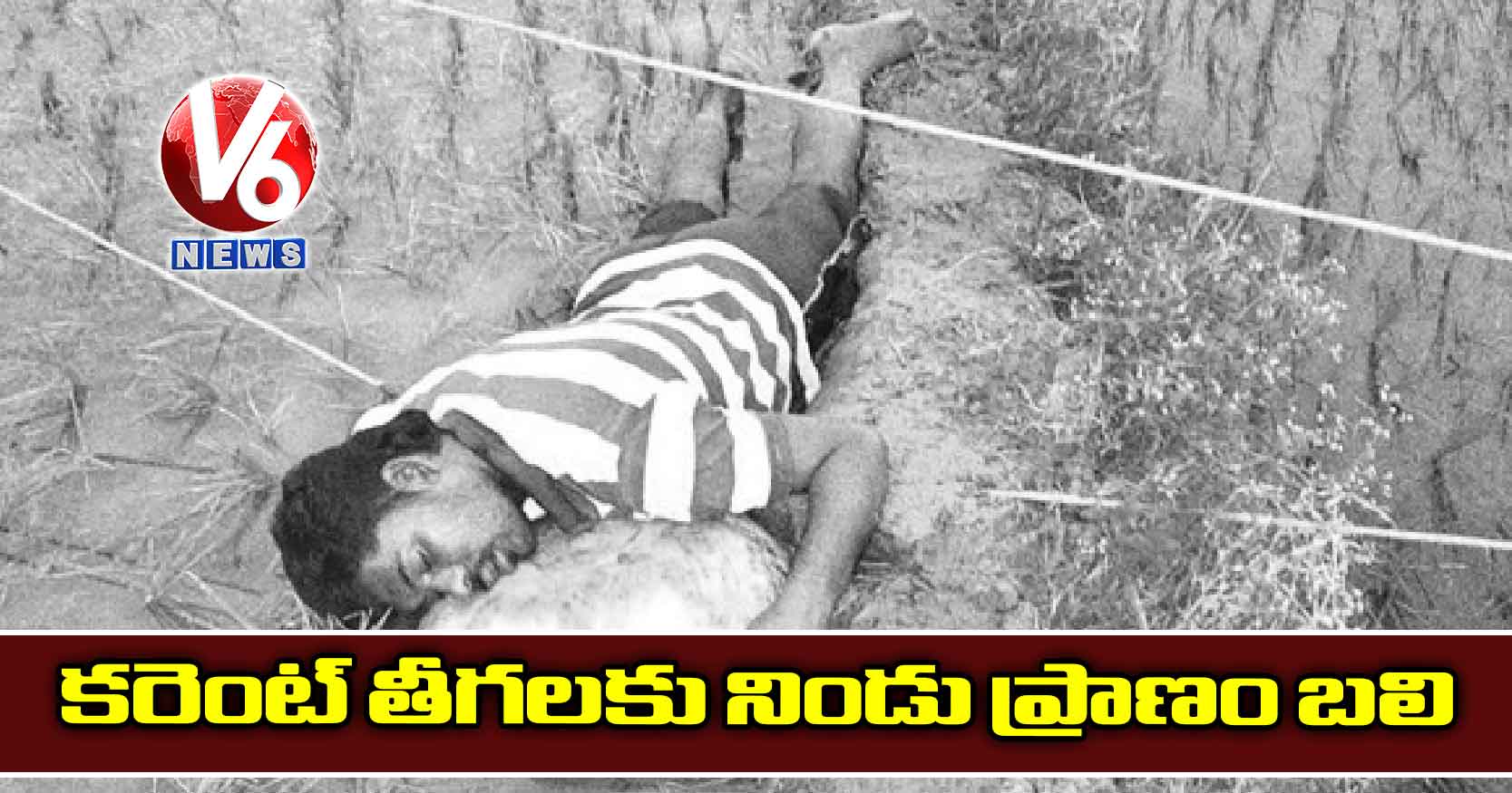 కరెంట్​ తీగలకు నిండు ప్రాణం బలి