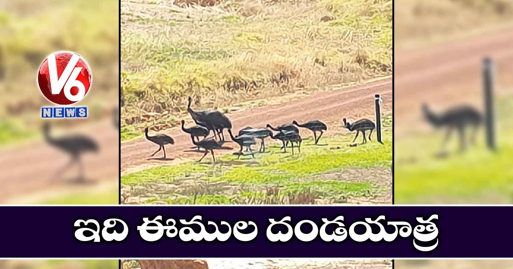 ఇది ఈముల దండయాత్ర