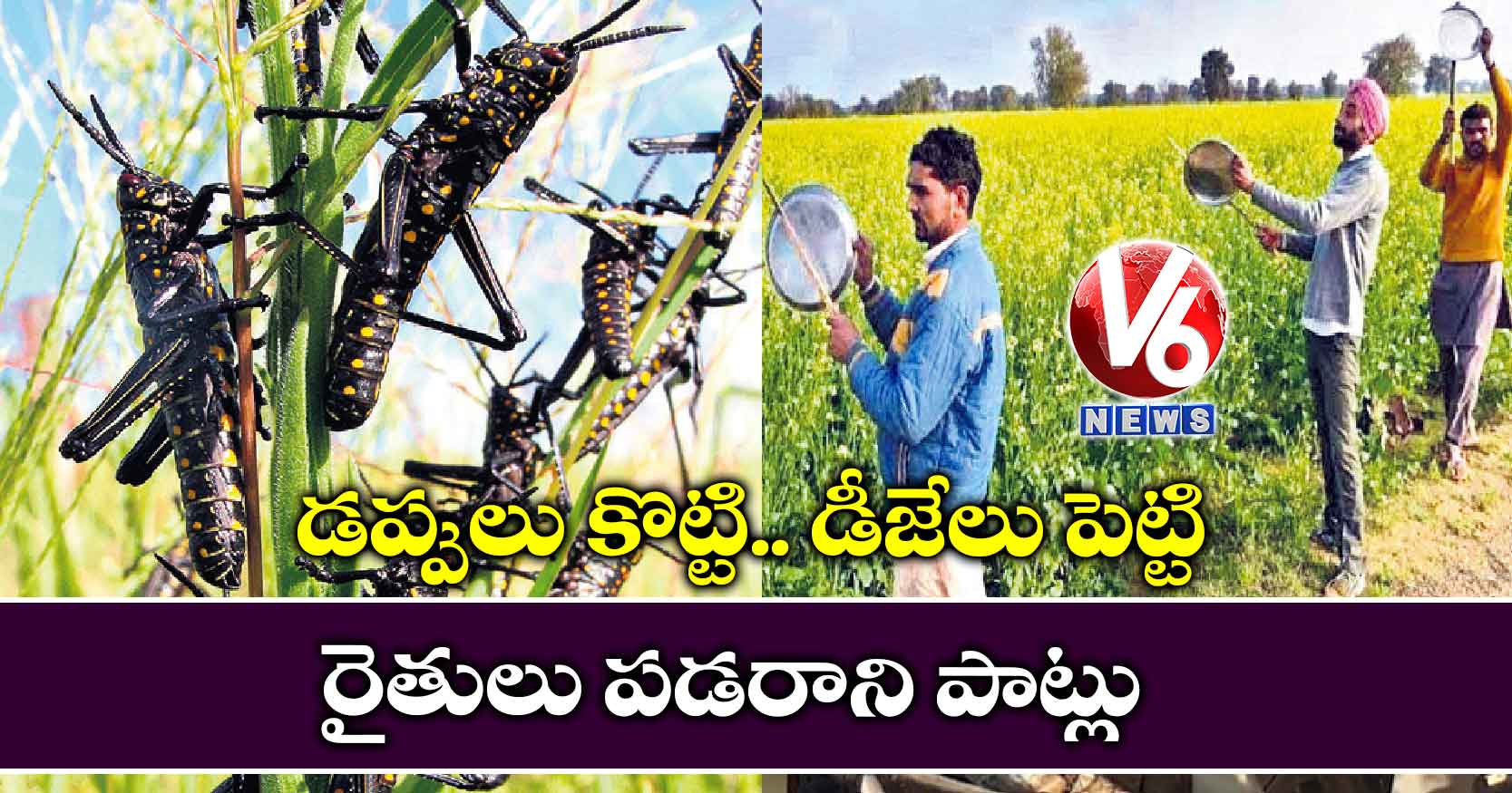 డప్పులు కొట్టి.. డీజేలు పెట్టి: రైతులు పడరాని పాట్లు