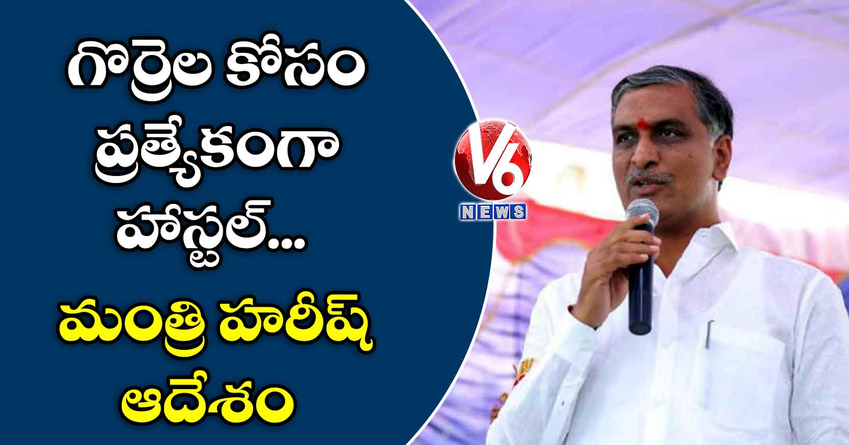 గొర్రెల కోసం ప్రత్యేకంగా హాస్టల్.. మంత్రి హరీష్ ఆదేశం