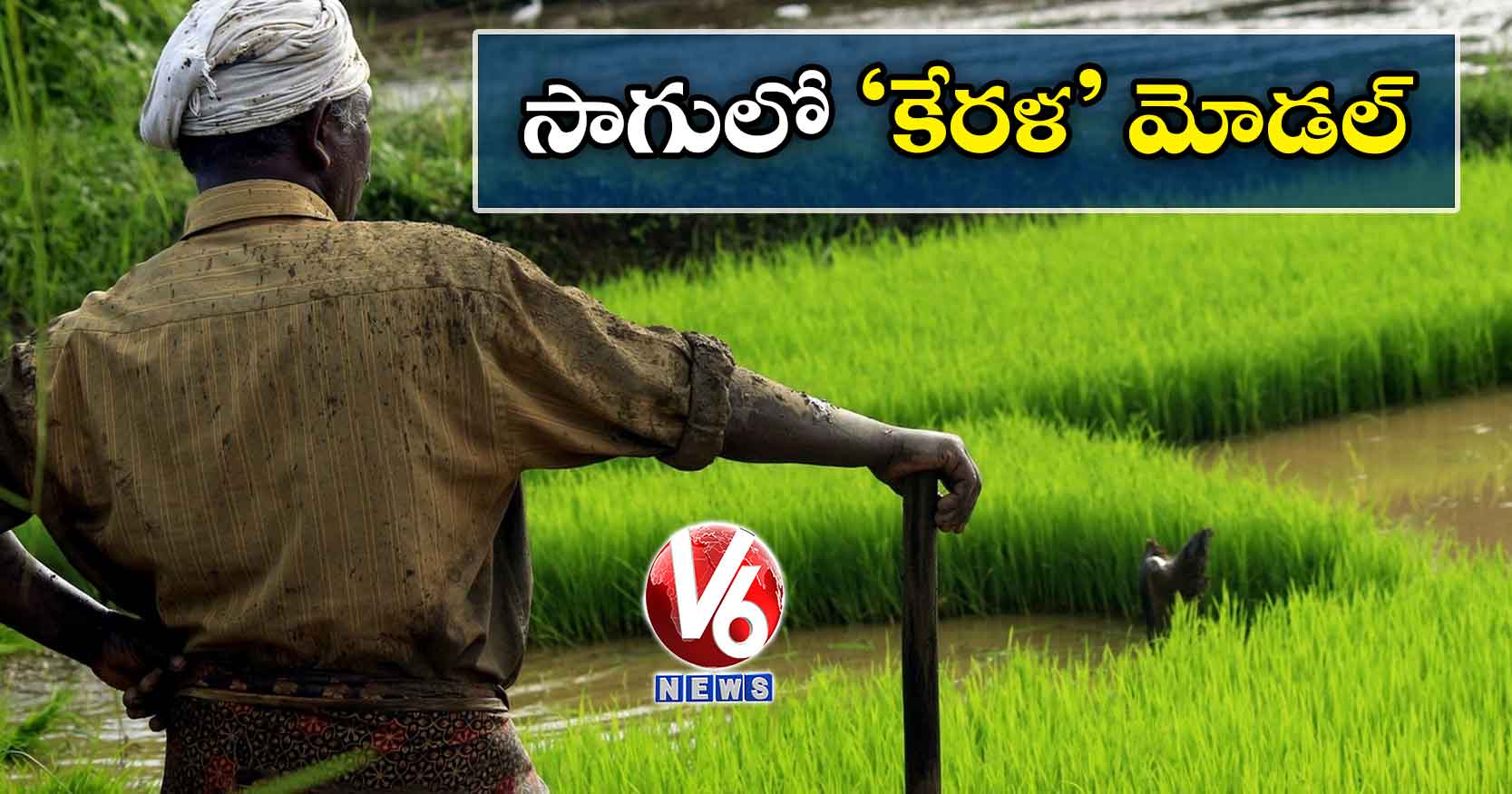 సాగులో ‘కేరళ’ మోడల్​