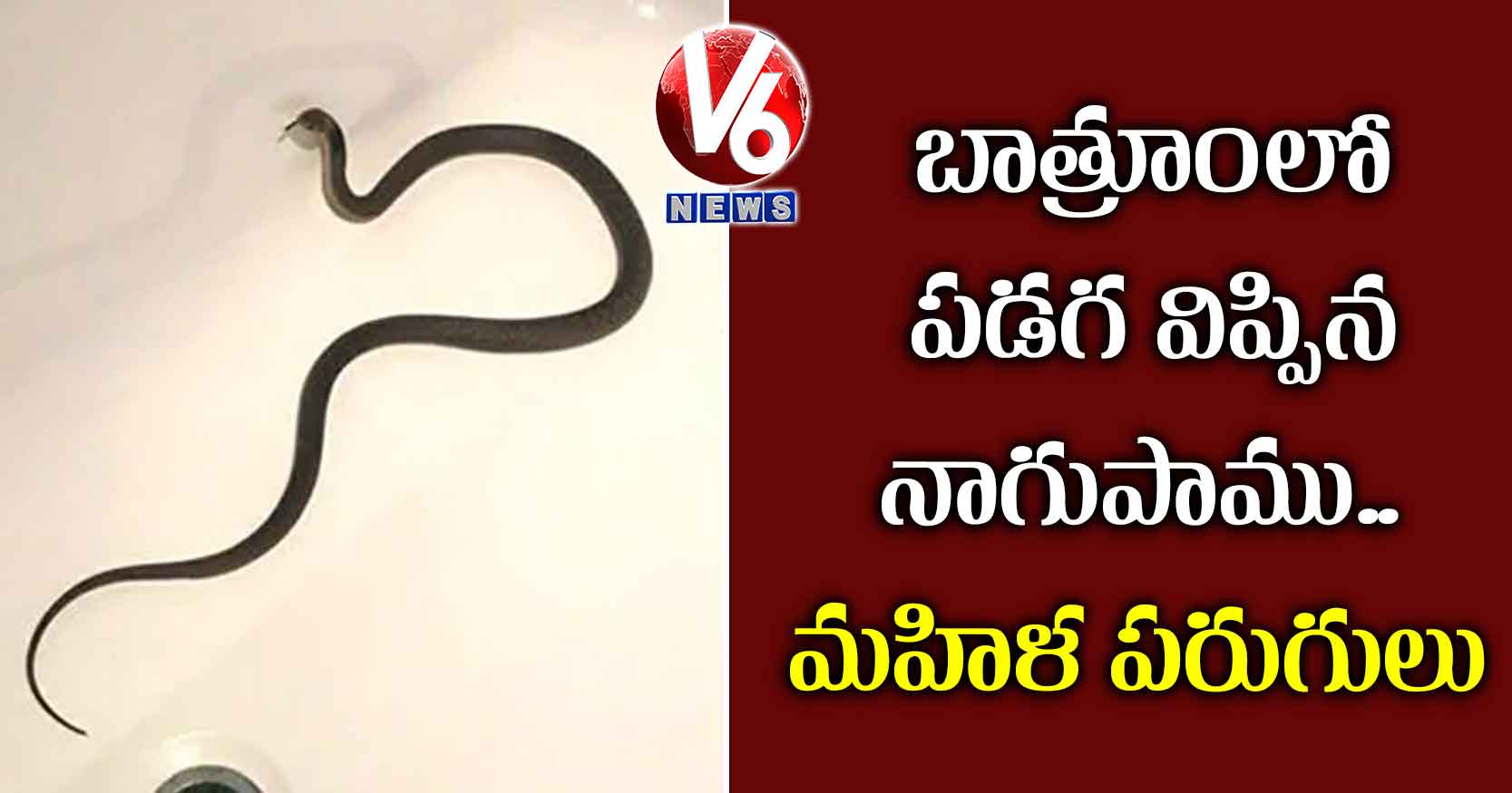 బాత్రూంలో పడగ విప్పిన నాగుపాము..మహిళ పరుగులు