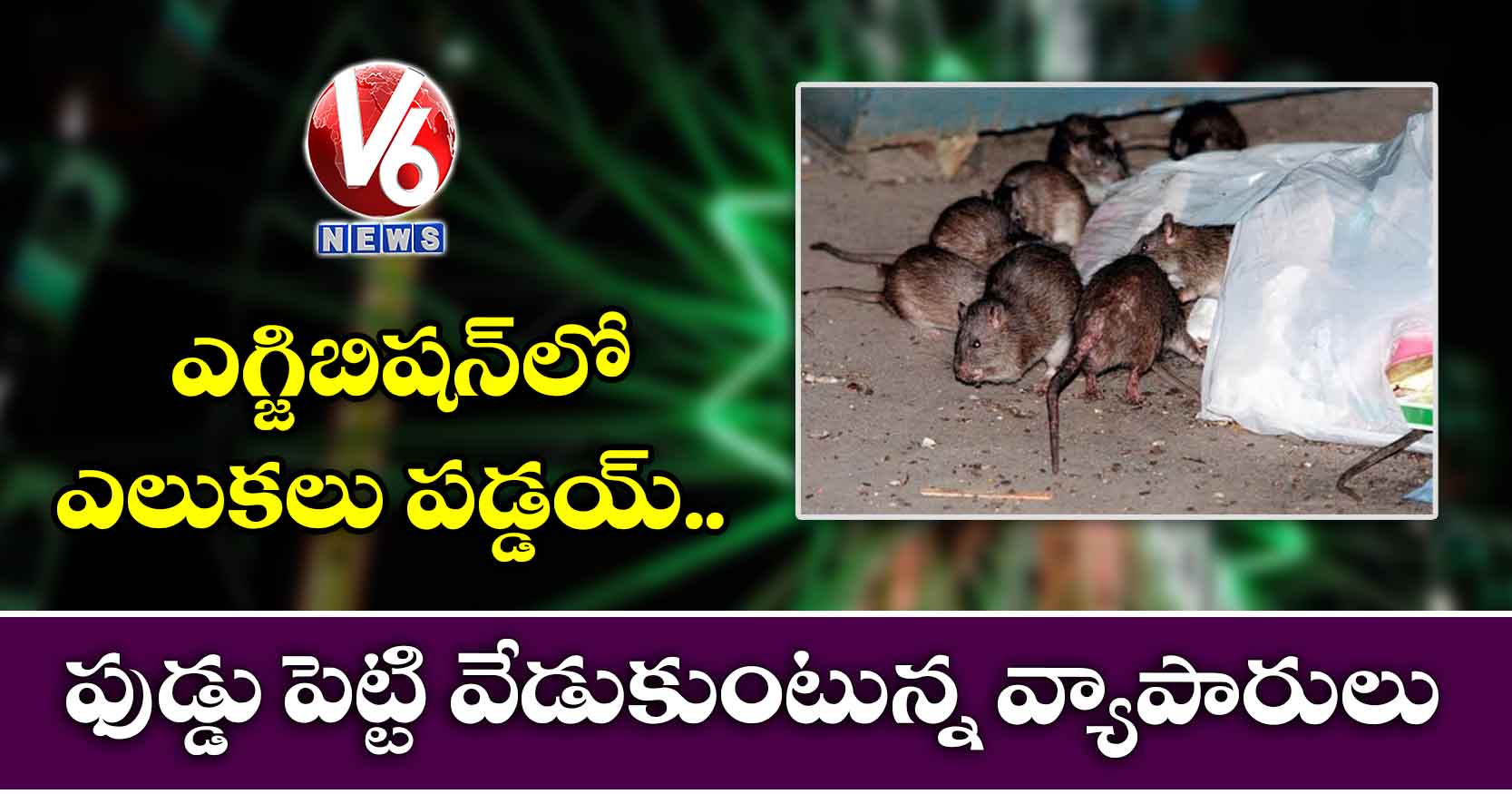 ఎగ్జిబిషన్లో ఎలుకలు పడ్డయ్.. ఫుడ్డు పెట్టి వేడుకుంటున్న వ్యాపారులు