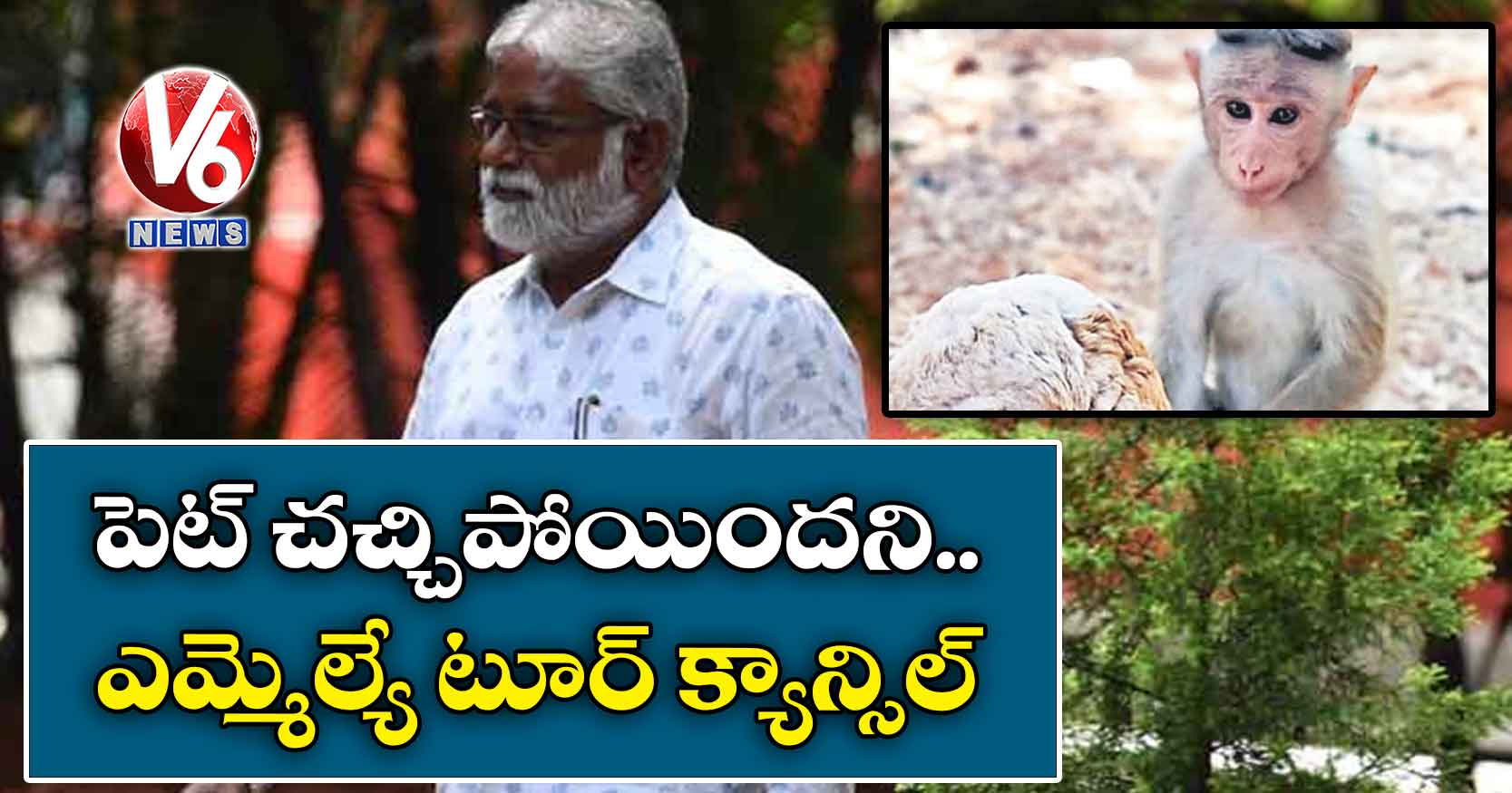 పెట్ చచ్చిపోయిందని.. ఎమ్మెల్యే టూర్ క్యాన్సిల్