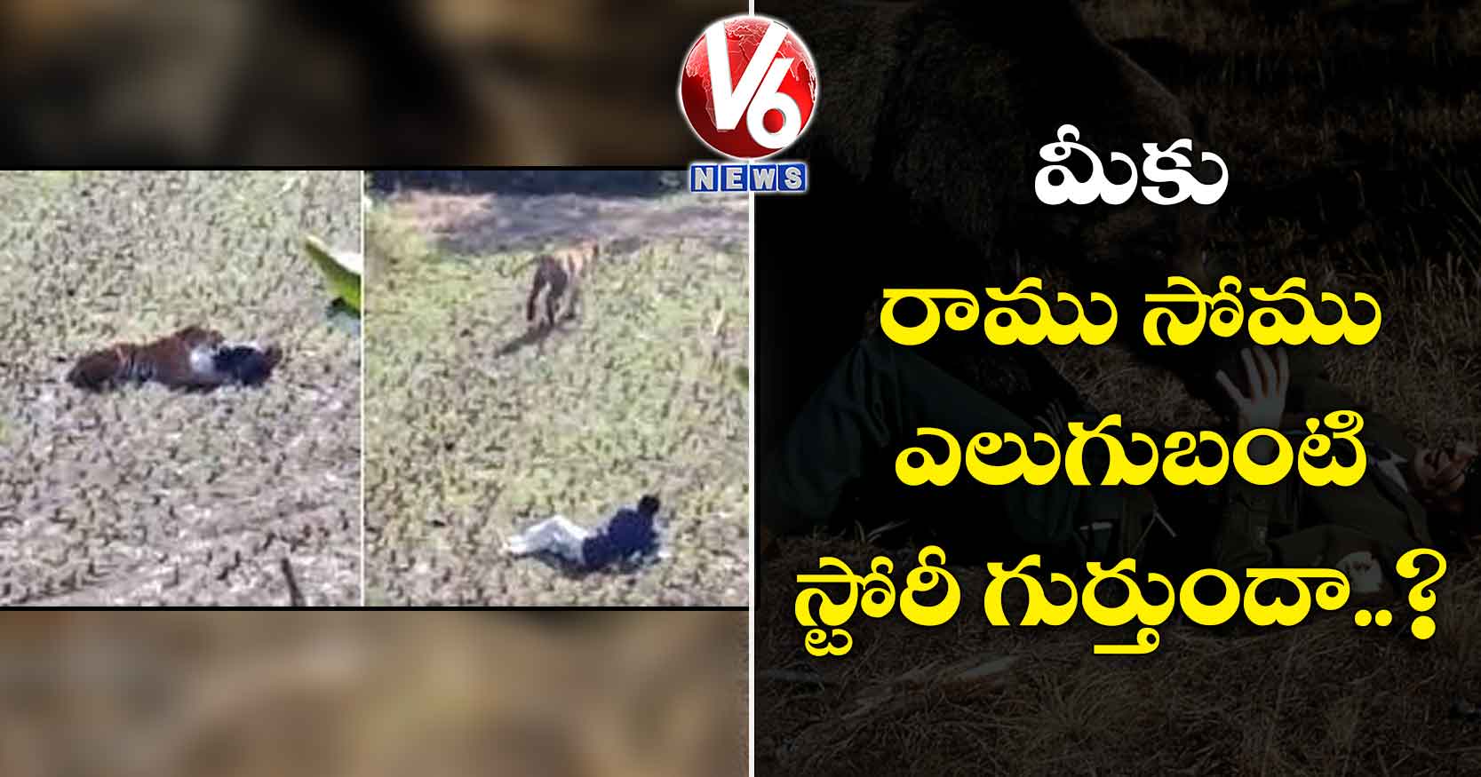 మీకు రాము -సోము ఎలుగుబంటి స్టోరీ గుర్తుందా..?