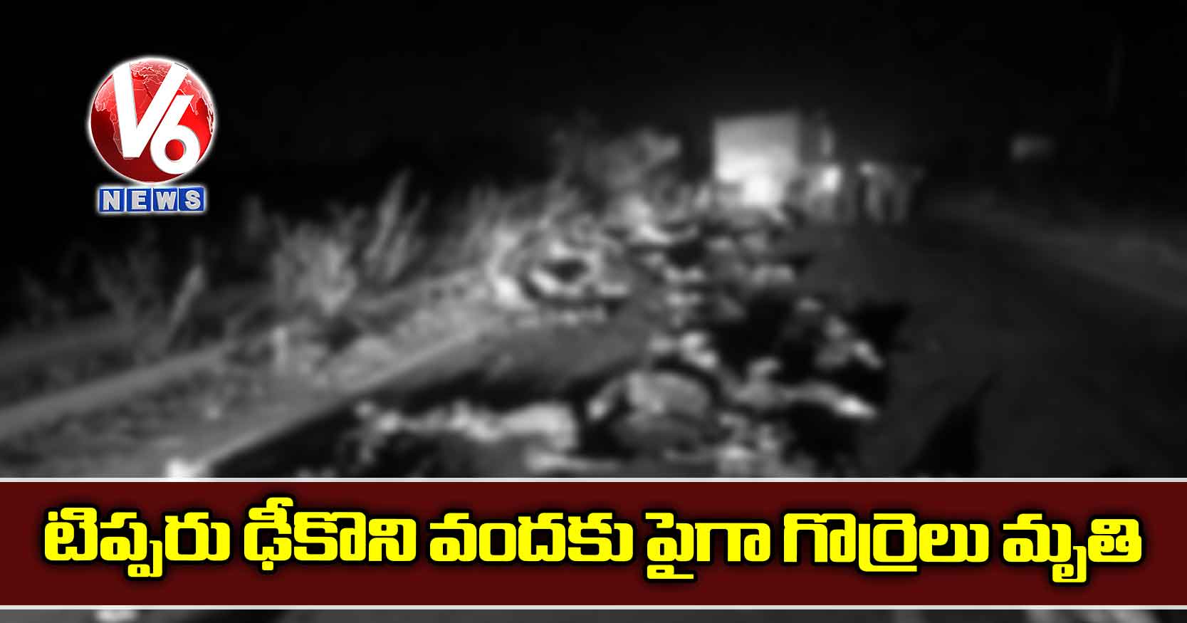 టిప్పరు ఢీకొని వందకు పైగా గొర్రెలు మృతి 