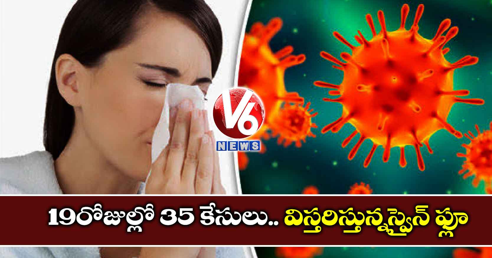 19 రోజుల్లో 35 కేసులు.. విస్తరిస్తున్నస్వైన్ ఫ్లూ