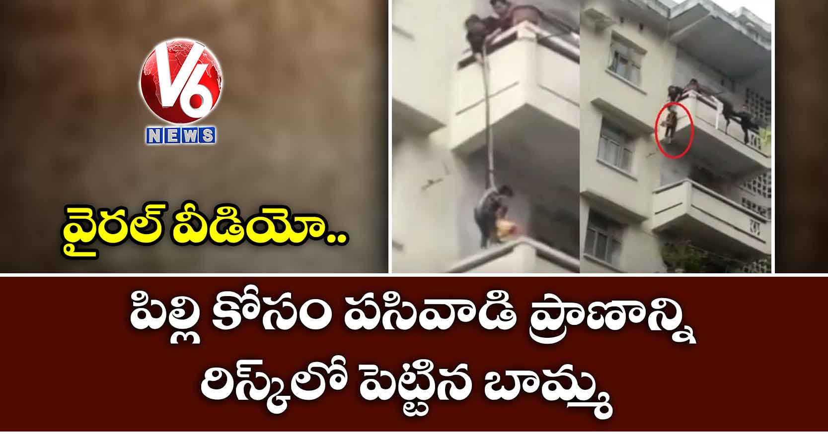 వైరల్ వీడియో: పిల్లి కోసం పసివాడి ప్రాణాన్ని రిస్క్లో పెట్టిన బామ్మ