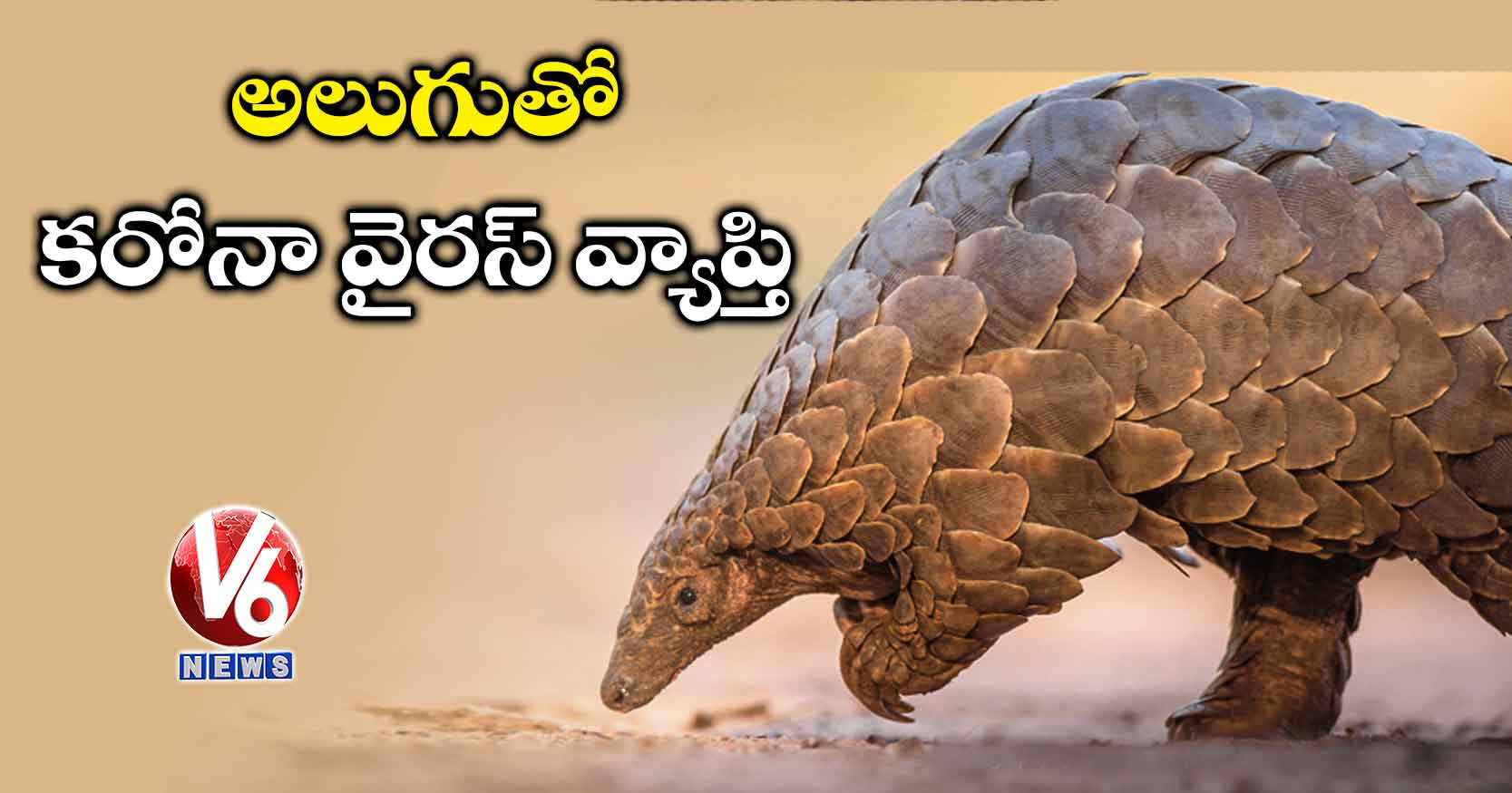 pangolins Archives - V6 Velugu - Telugu Latest Breaking News, Live News  Updates