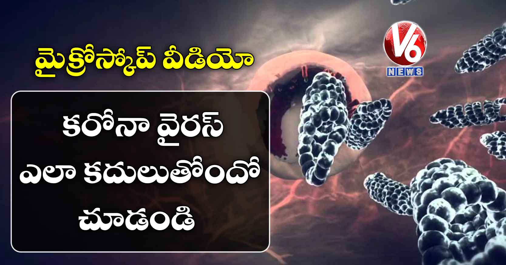 కరోనా వైరస్ ఎలా కదులుతోందో చూడండి: మైక్రోస్కోప్ వీడియో
