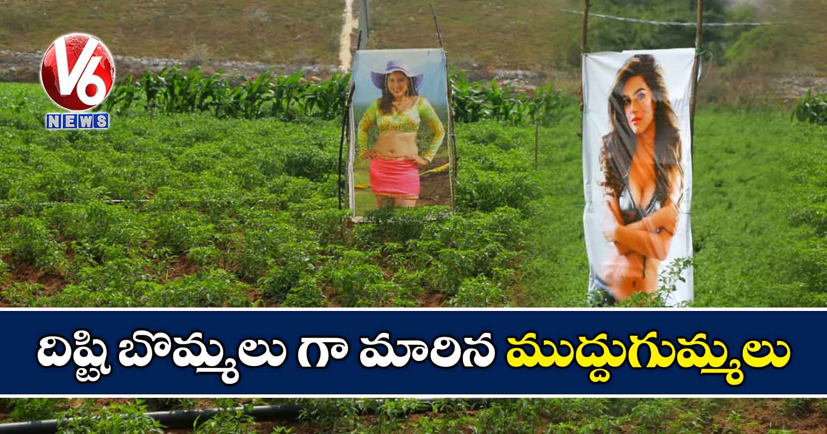 దిష్టి బొమ్మలు గా మారిన ముద్దుగుమ్మలు