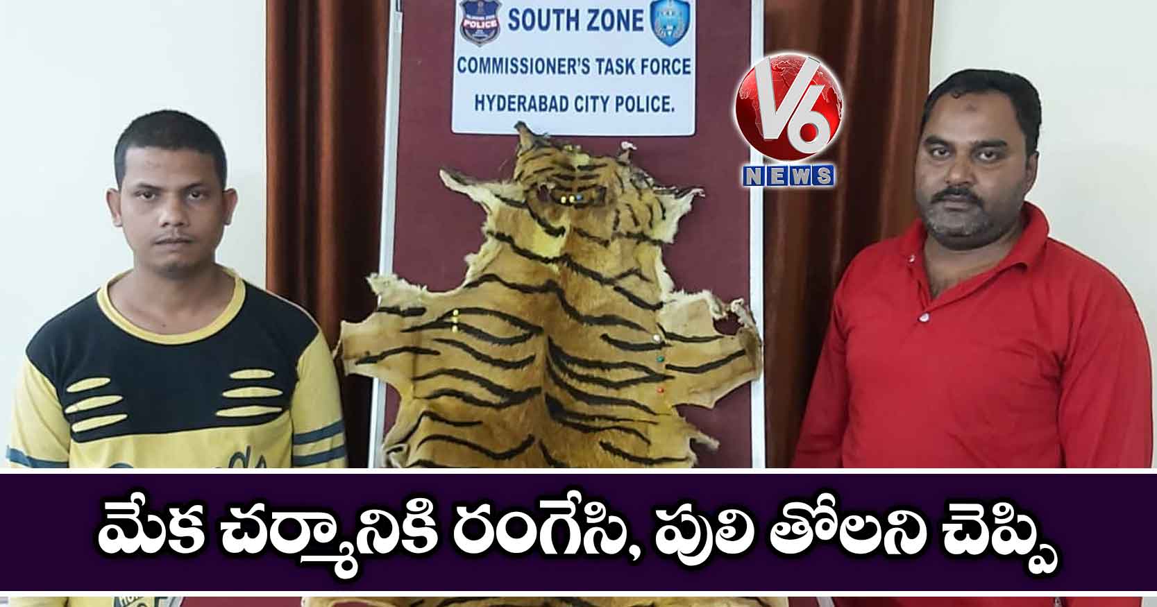 మేక చర్మానికి రంగేసి, పులి తోలని చెప్పి…