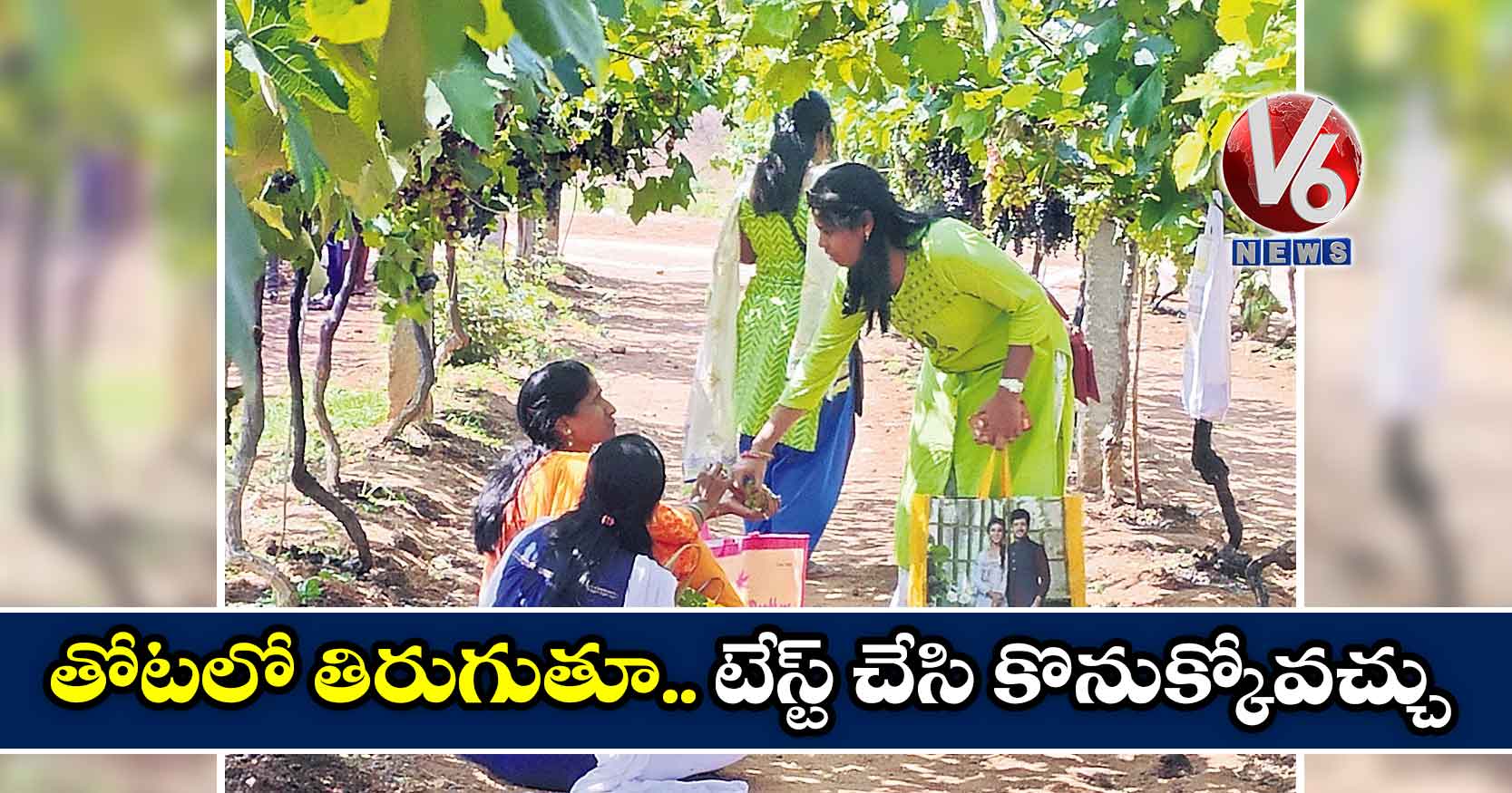 తోటలో తిరుగుతూ.. టేస్ట్ చేసి కొనుక్కోవచ్చు