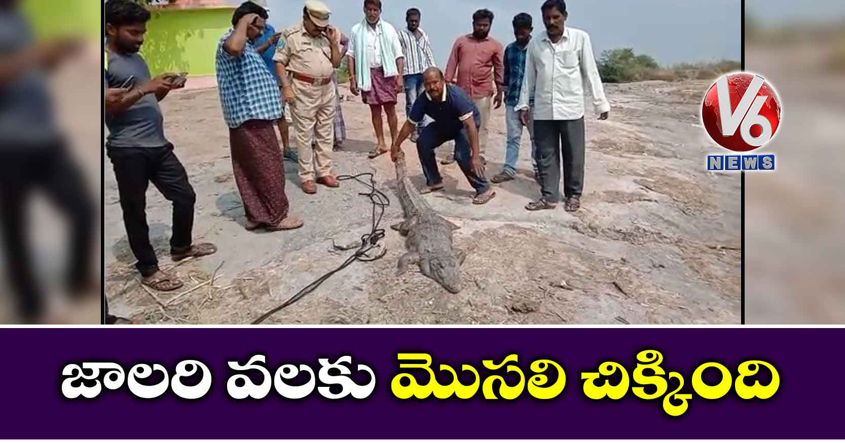 జాలరి వలకు మొసలి చిక్కింది