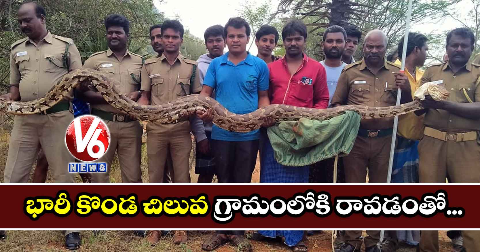 భారీ కొండ చిలువ గ్రామంలోకి రావడంతో..