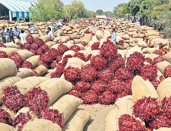 వరంగల్లో మిర్చి రికార్డు ధర