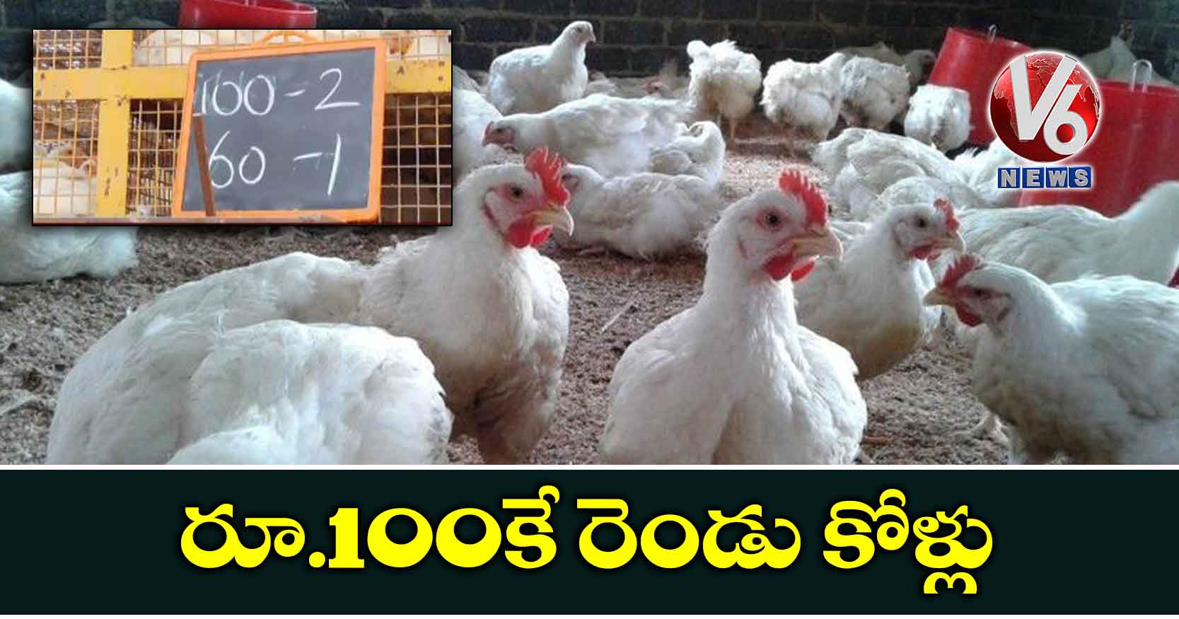 రూ.100కే రెండు కోళ్లు
