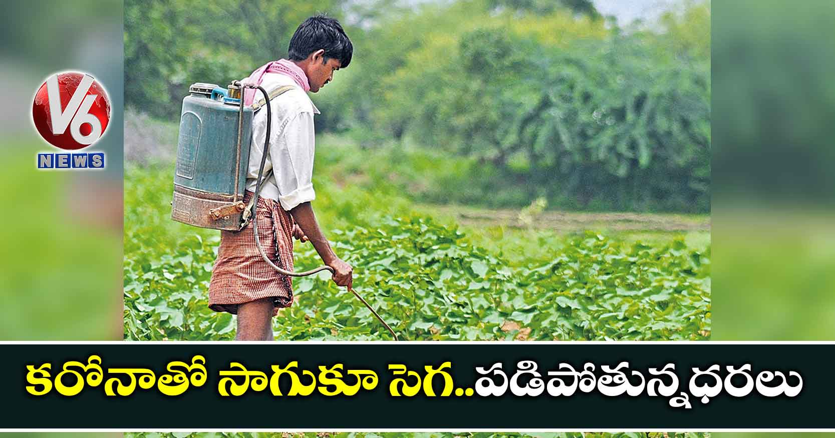 కరోనాతో సాగుకూ సెగ..పడిపోతున్నధరలు