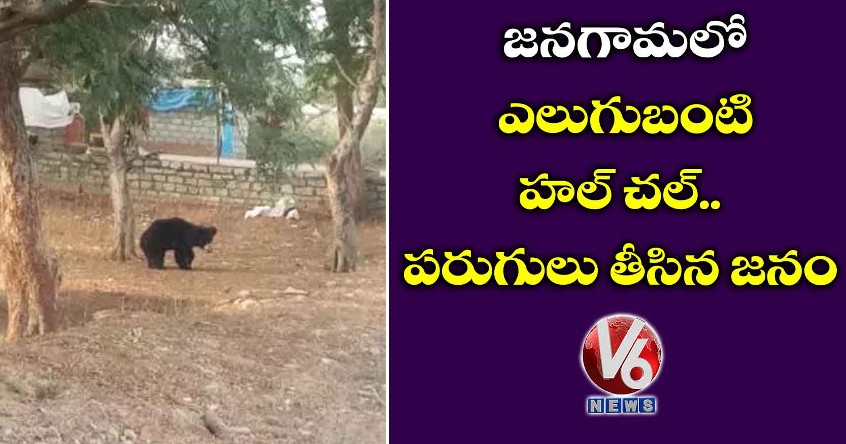 జనగామలో ఎలుగుబంటి హల్ చల్..పరుగులు తీసిన జనం