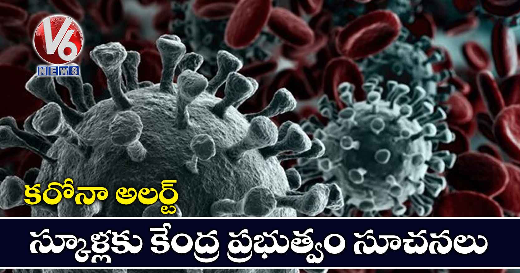 కరోనా అలర్ట్: స్కూళ్లకు కేంద్ర ప్రభుత్వం సూచనలు