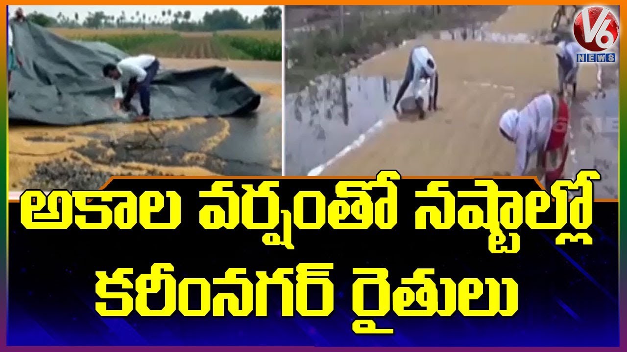 Unseasonal Rain Damages crops in Karimnagar district